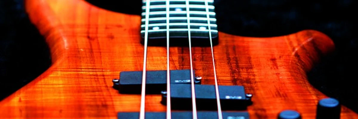Bassokitaran opetus (Rock, pop, jazz, kaikki tyylit...)
